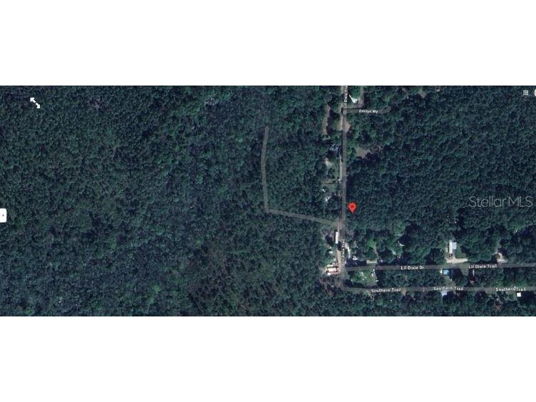 17847 Lil Dixie Drive Sanderson FL 32087 O6358424 image2