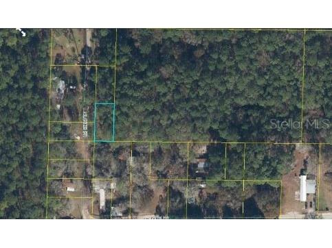 17847 Lil Dixie Drive Sanderson FL 32087 O6358424 image4