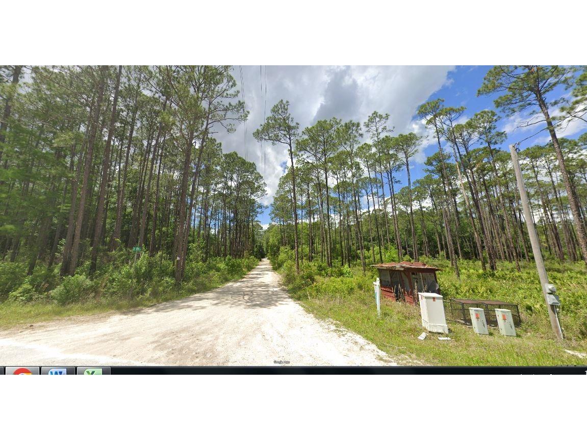 17847 Lil Dixie Drive Sanderson FL 32087 O6358424 image5