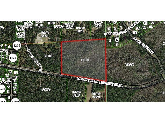 1785 E Withlacoochee Trl Dunnellon FL 34434 OM713891 image1