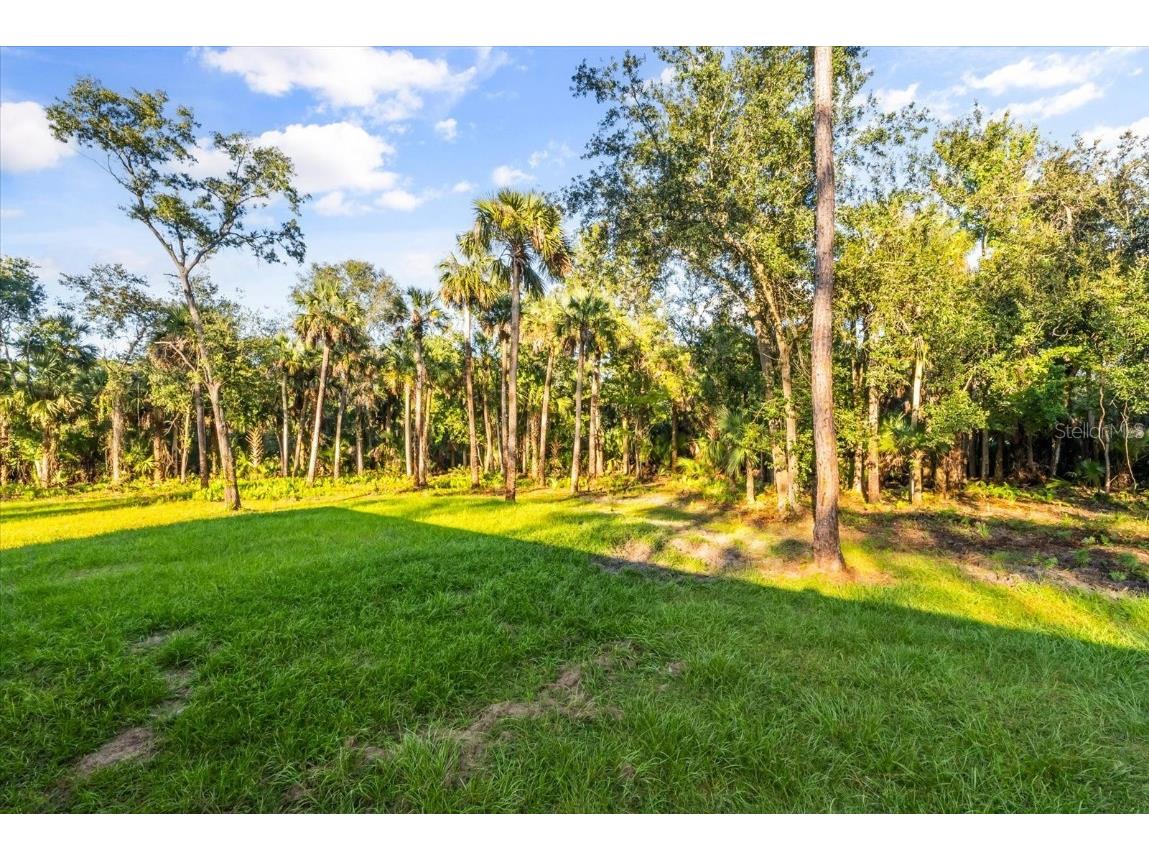 1785 Marsh Way Geneva FL 32732 O6352954 image11