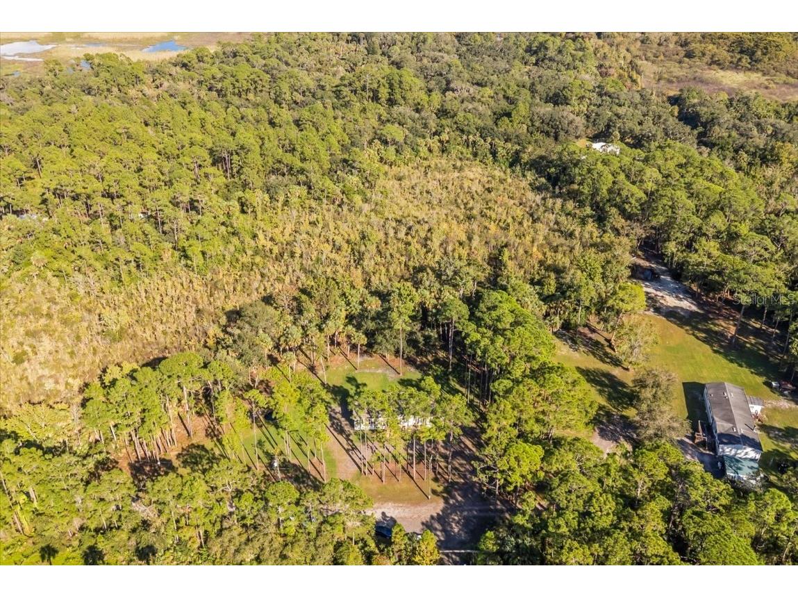 1785 Marsh Way Geneva FL 32732 O6352954 image13