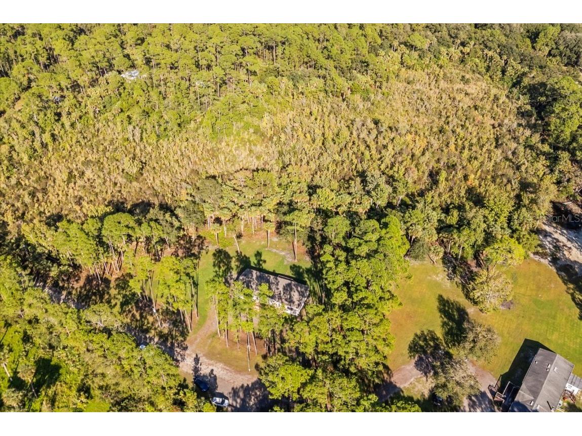 1785 Marsh Way Geneva FL 32732 O6352954 image14