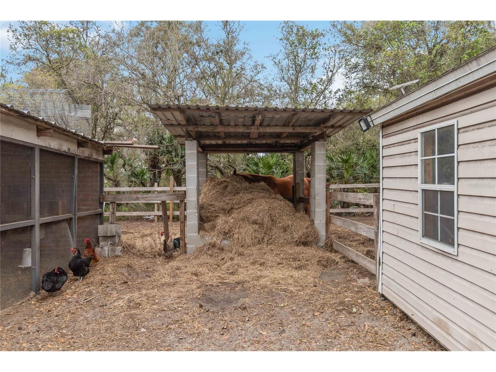 1785 Sundance Drive Saint Cloud FL 34771 S5146390 image52