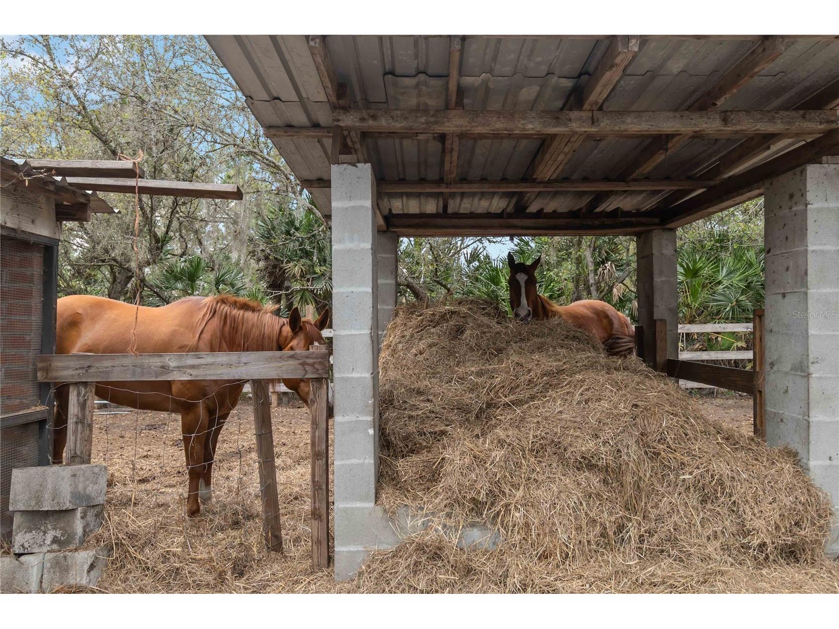 1785 Sundance Drive Saint Cloud FL 34771 S5146390 image53