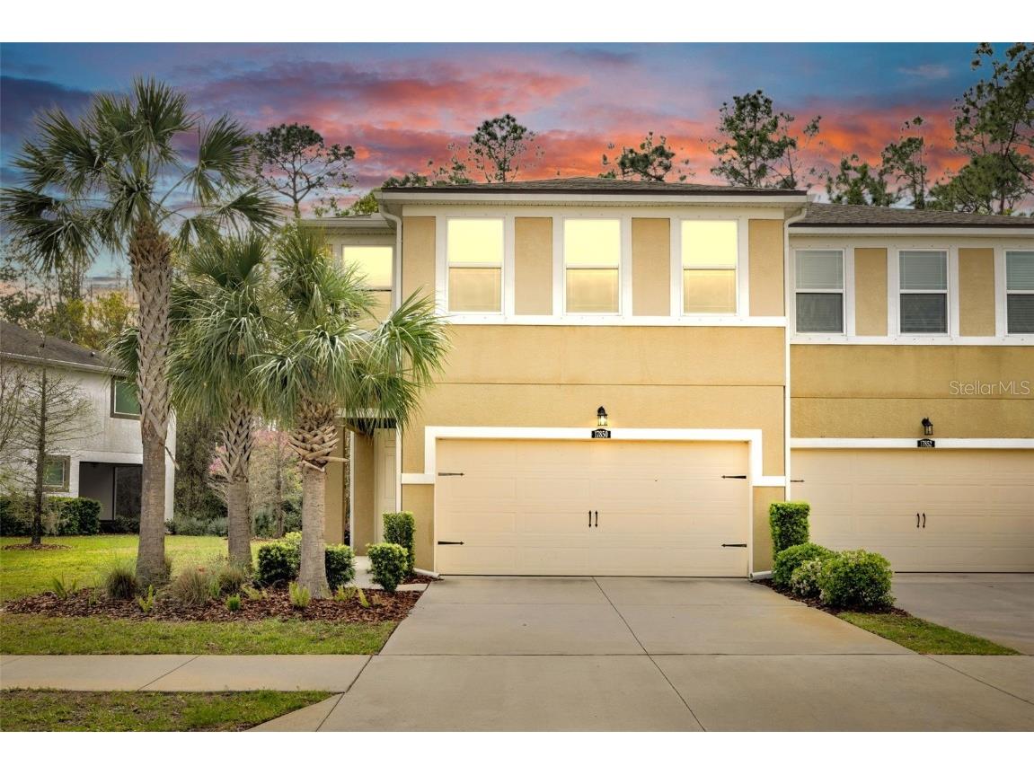 17850 Althea Blue Place Lutz FL 33558 TB8362577 image1