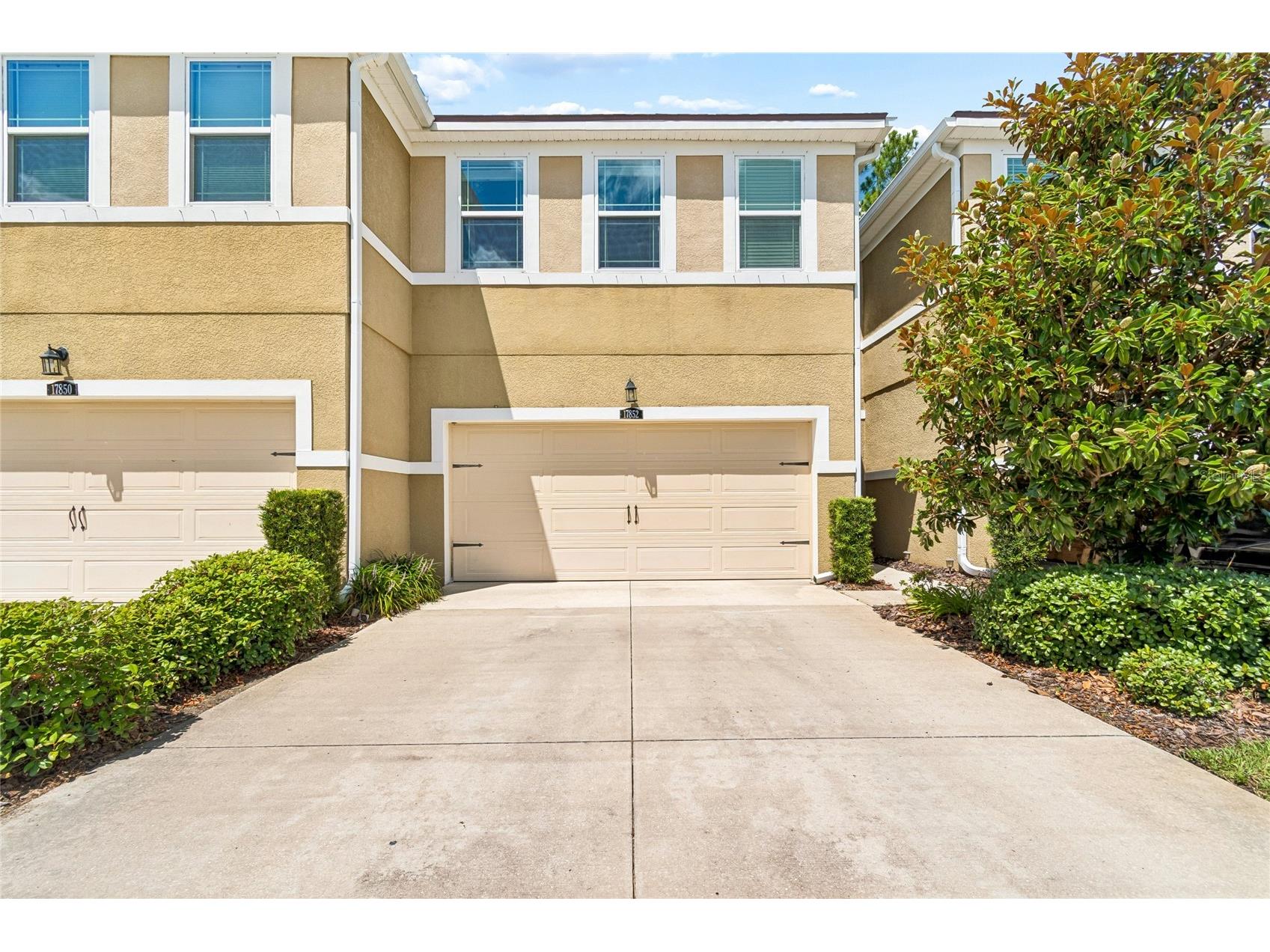 17852 Althea Blue Place Lutz FL 33558 TB8526873 image1