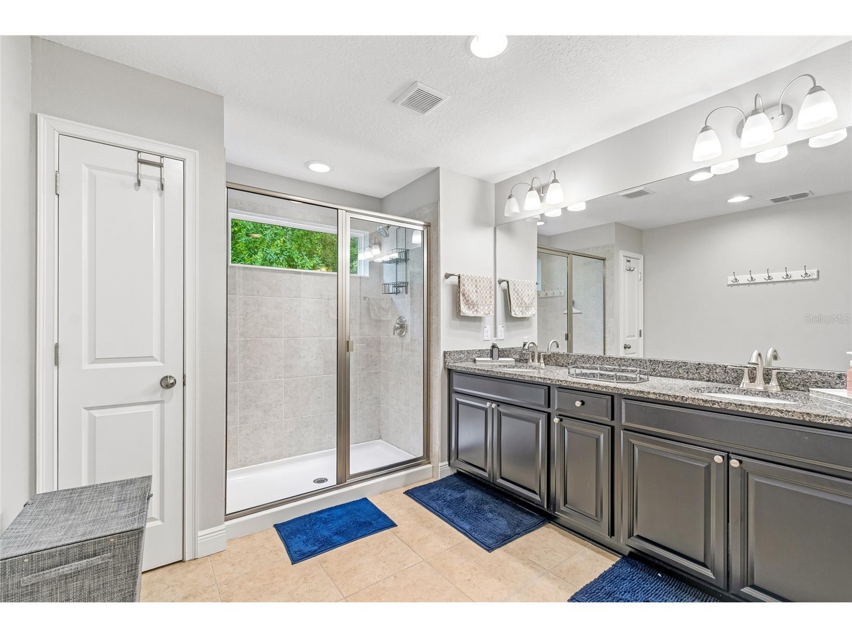 17852 Althea Blue Place Lutz FL 33558 TB8526873 image27
