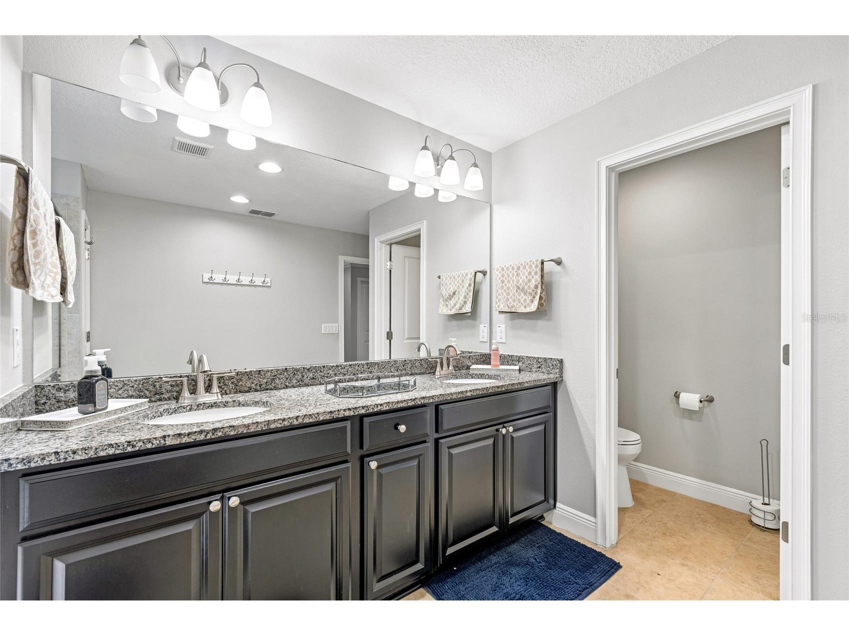 17852 Althea Blue Place Lutz FL 33558 TB8526873 image28