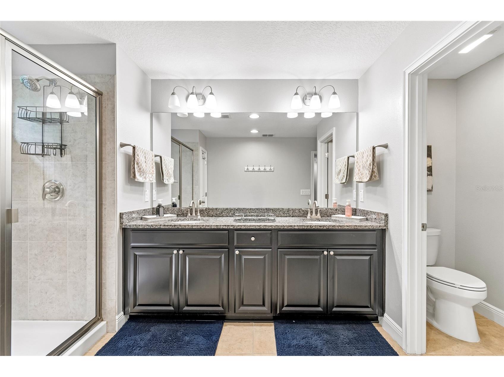 17852 Althea Blue Place Lutz FL 33558 TB8526873 image29