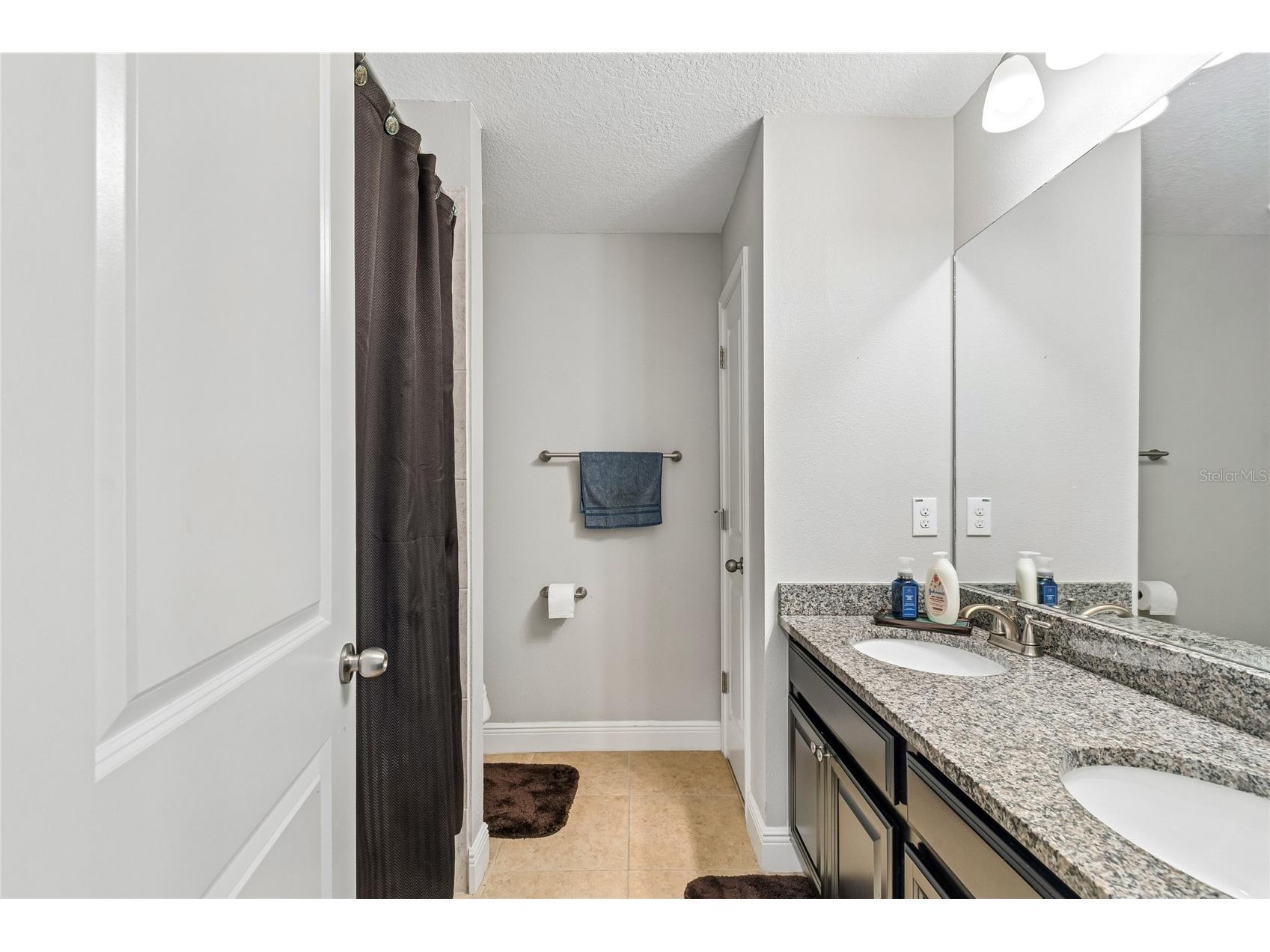 17852 Althea Blue Place Lutz FL 33558 TB8526873 image37