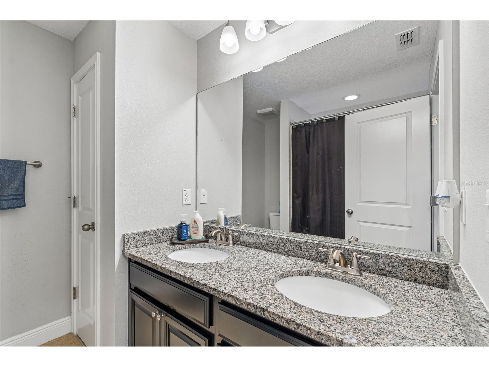 17852 Althea Blue Place Lutz FL 33558 TB8526873 image38