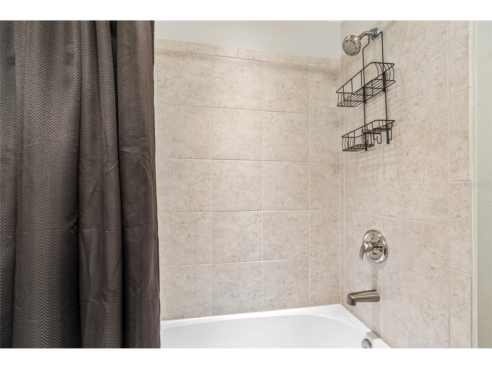 17852 Althea Blue Place Lutz FL 33558 TB8526873 image39