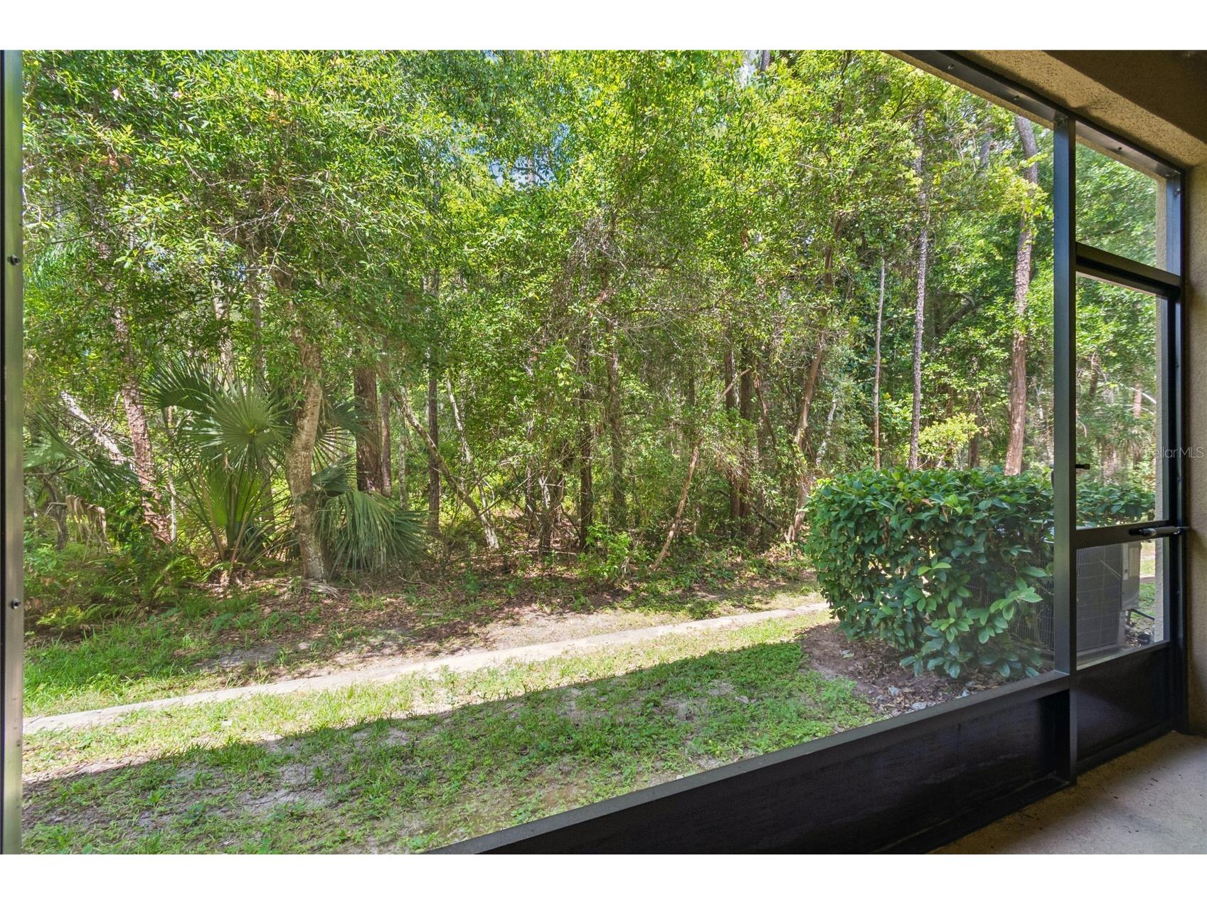 17852 Althea Blue Place Lutz FL 33558 TB8526873 image43