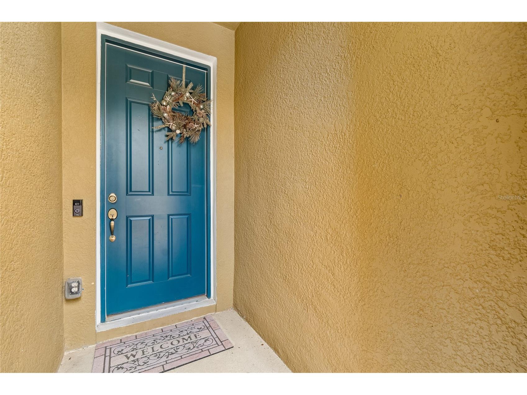 17852 Althea Blue Place Lutz FL 33558 TB8526873 image5