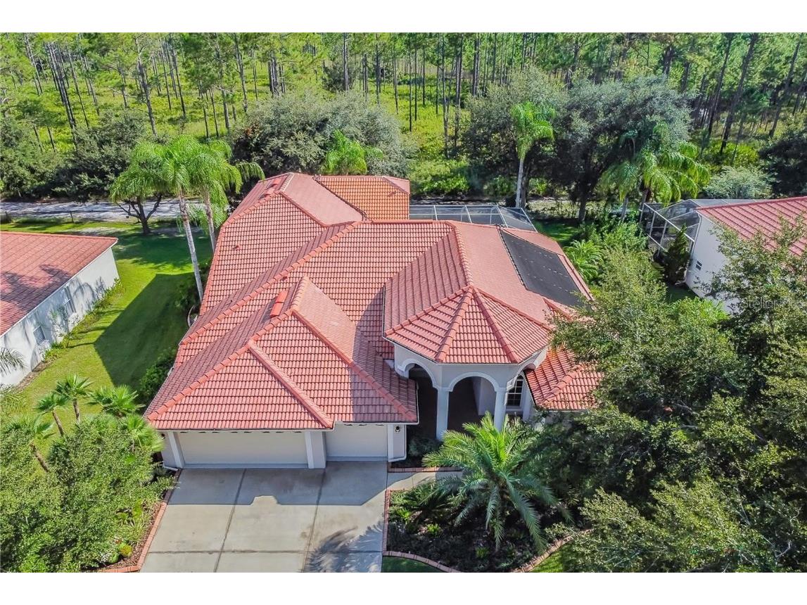 17852 Arbor Greene Drive Tampa FL 33647 T3496646 image1