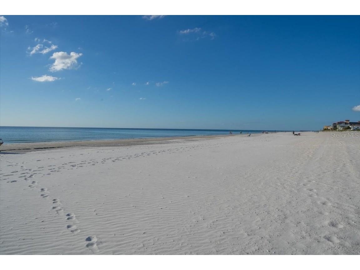 17852 Lee Avenue Redington Shores FL 33708 TB8437038 image27