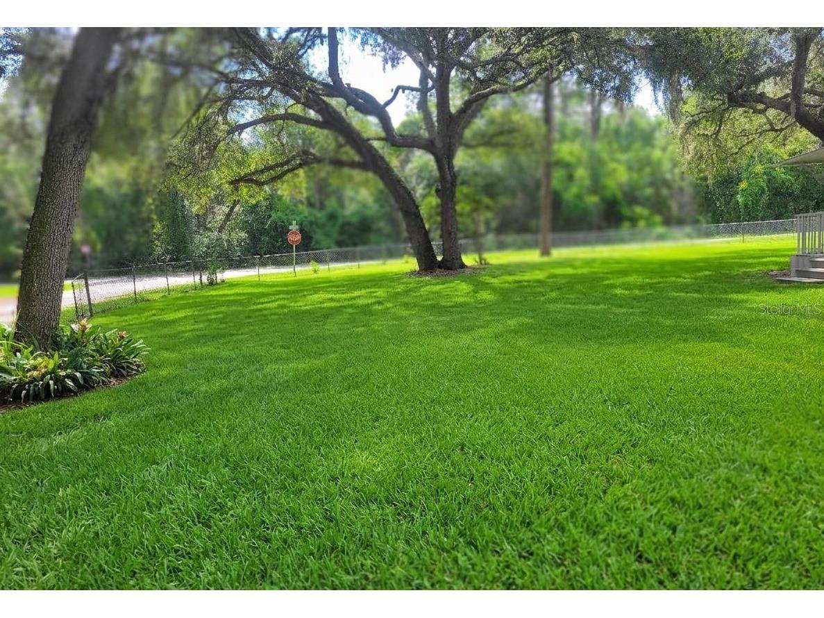 17855 SE 15th Court Summerfield FL 34491 OM728148 image14