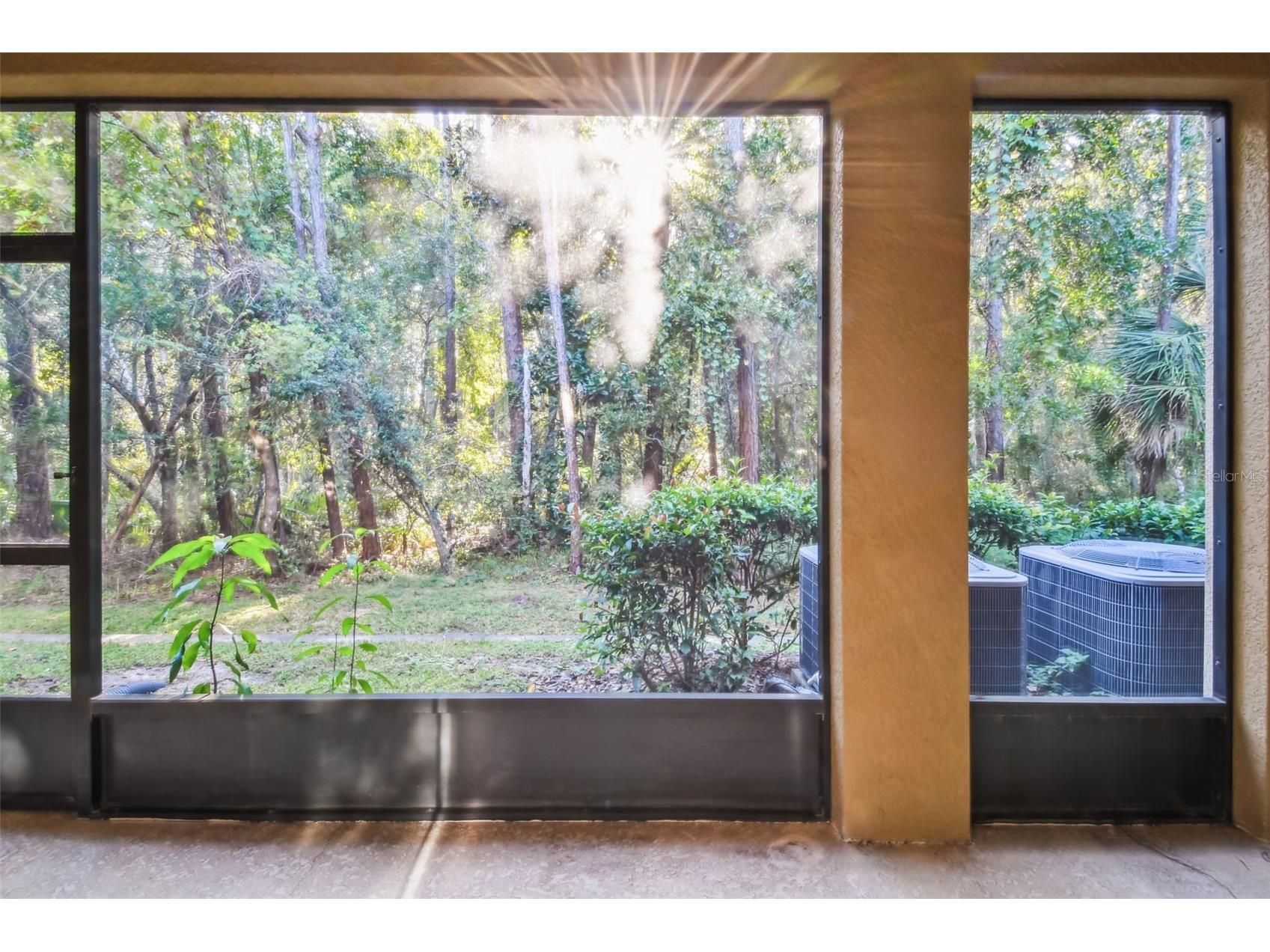 17856 Althea Blue Place Lutz FL 33558 TB8504054 image17