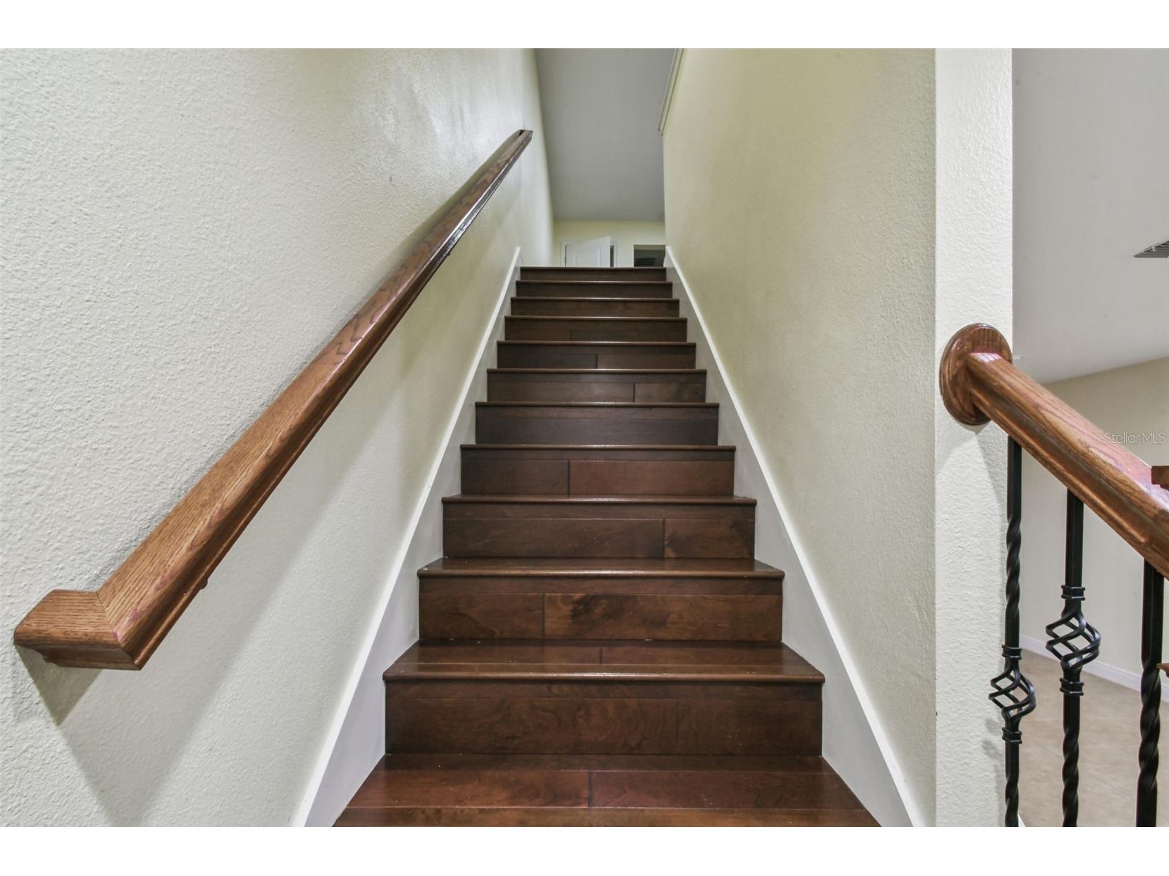 17856 Althea Blue Place Lutz FL 33558 TB8504054 image21