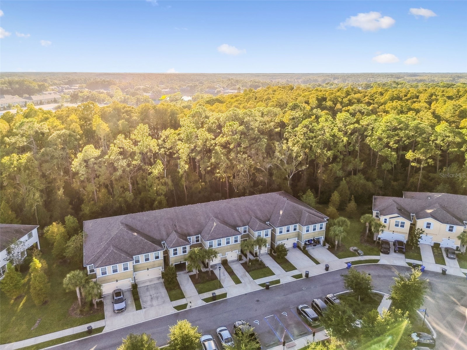 17856 Althea Blue Place Lutz FL 33558 TB8504054 image45