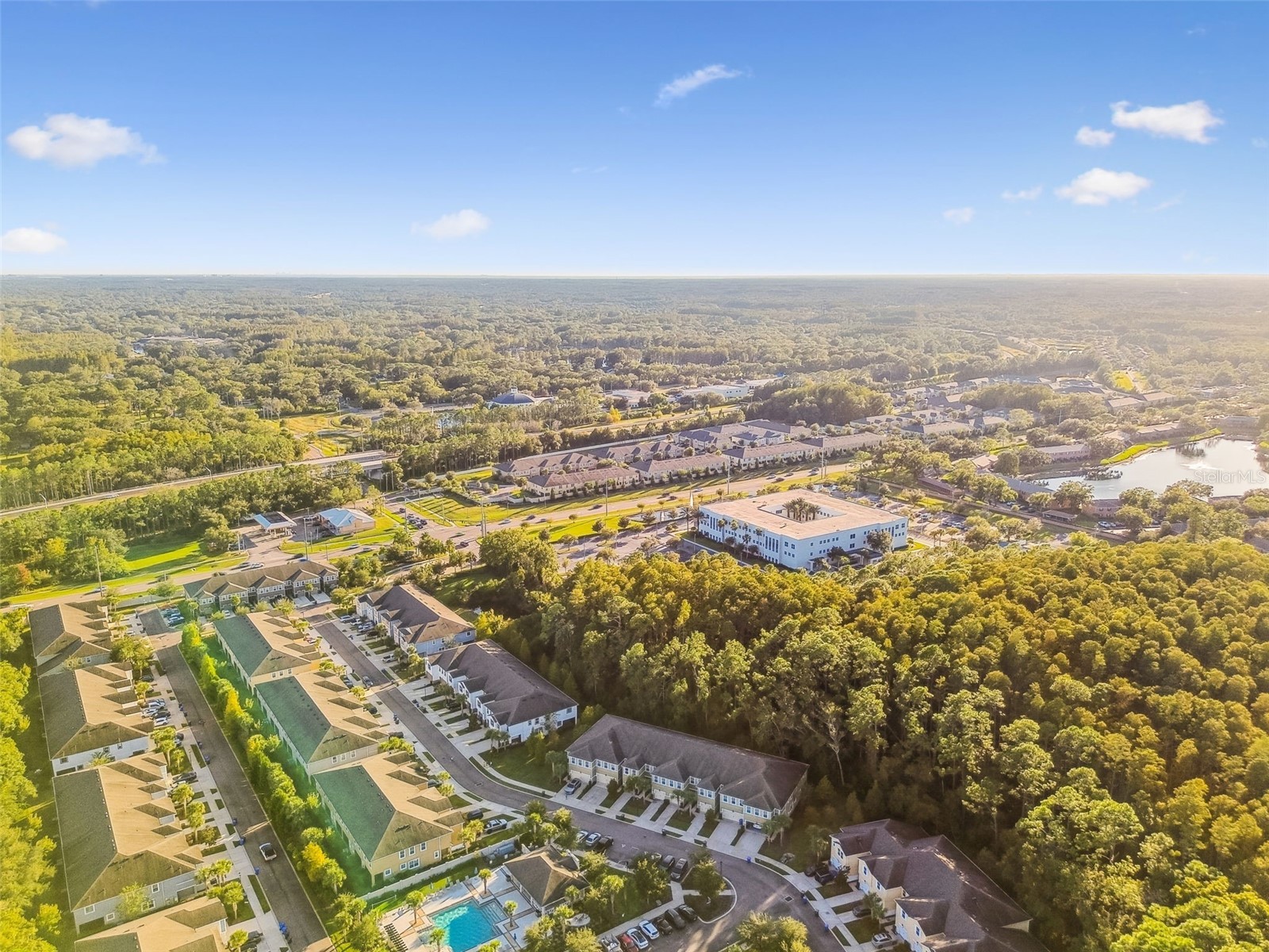 17856 Althea Blue Place Lutz FL 33558 TB8504054 image47