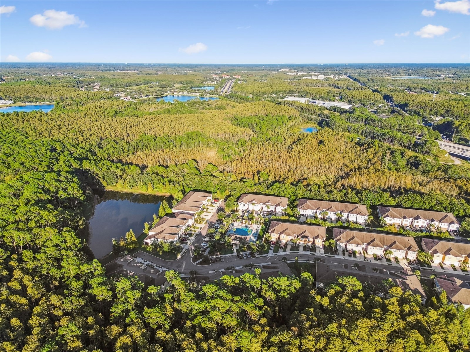 17856 Althea Blue Place Lutz FL 33558 TB8504054 image50