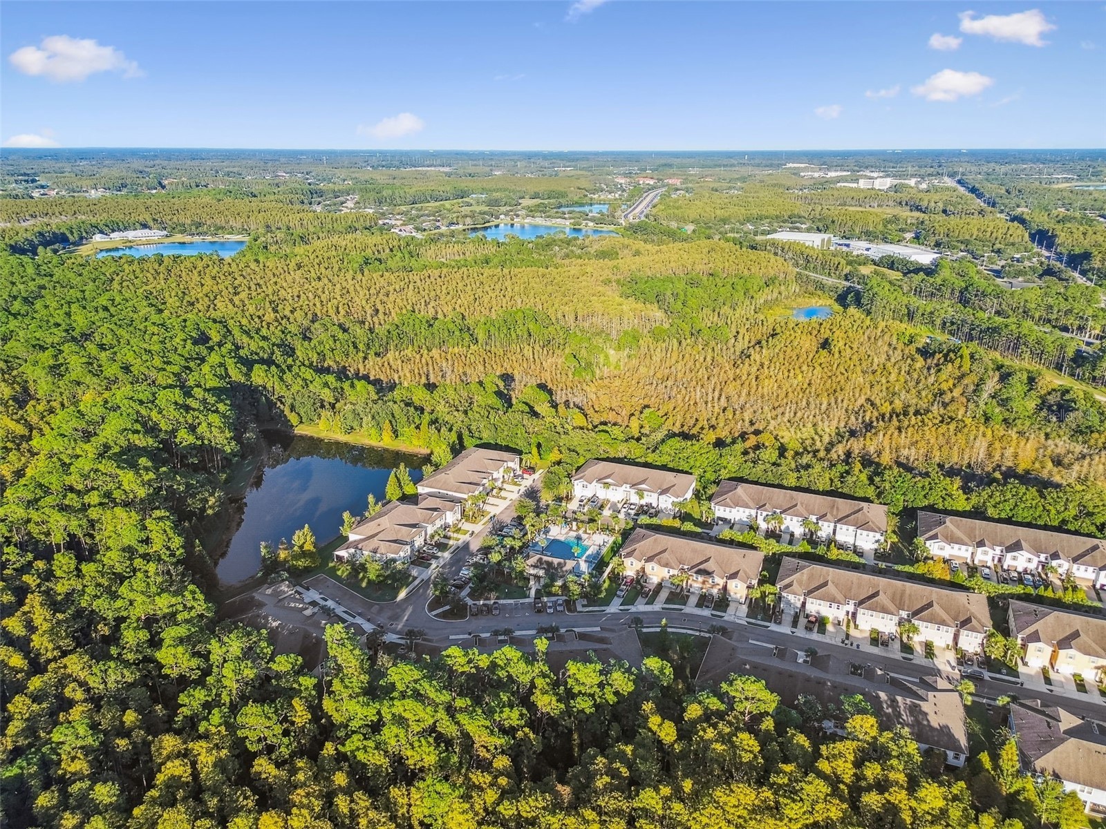 17856 Althea Blue Place Lutz FL 33558 TB8504054 image51