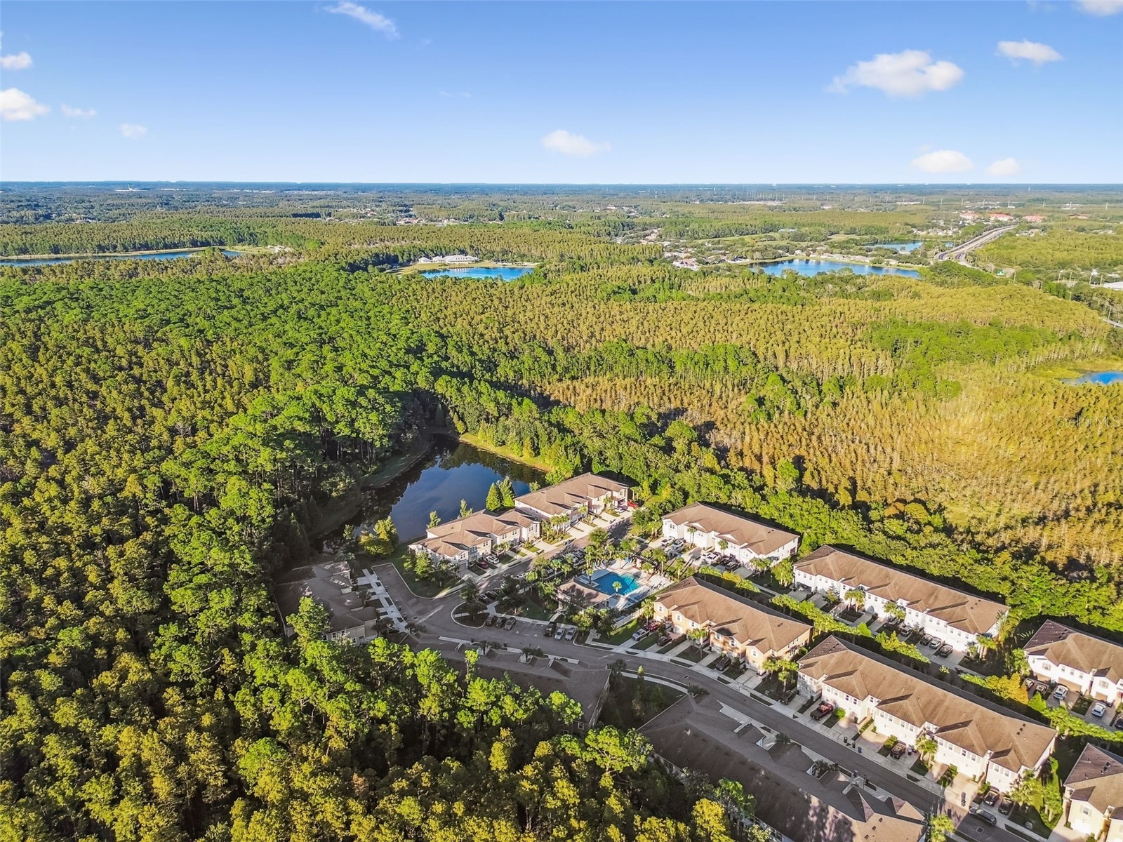 17856 Althea Blue Place Lutz FL 33558 TB8504054 image52