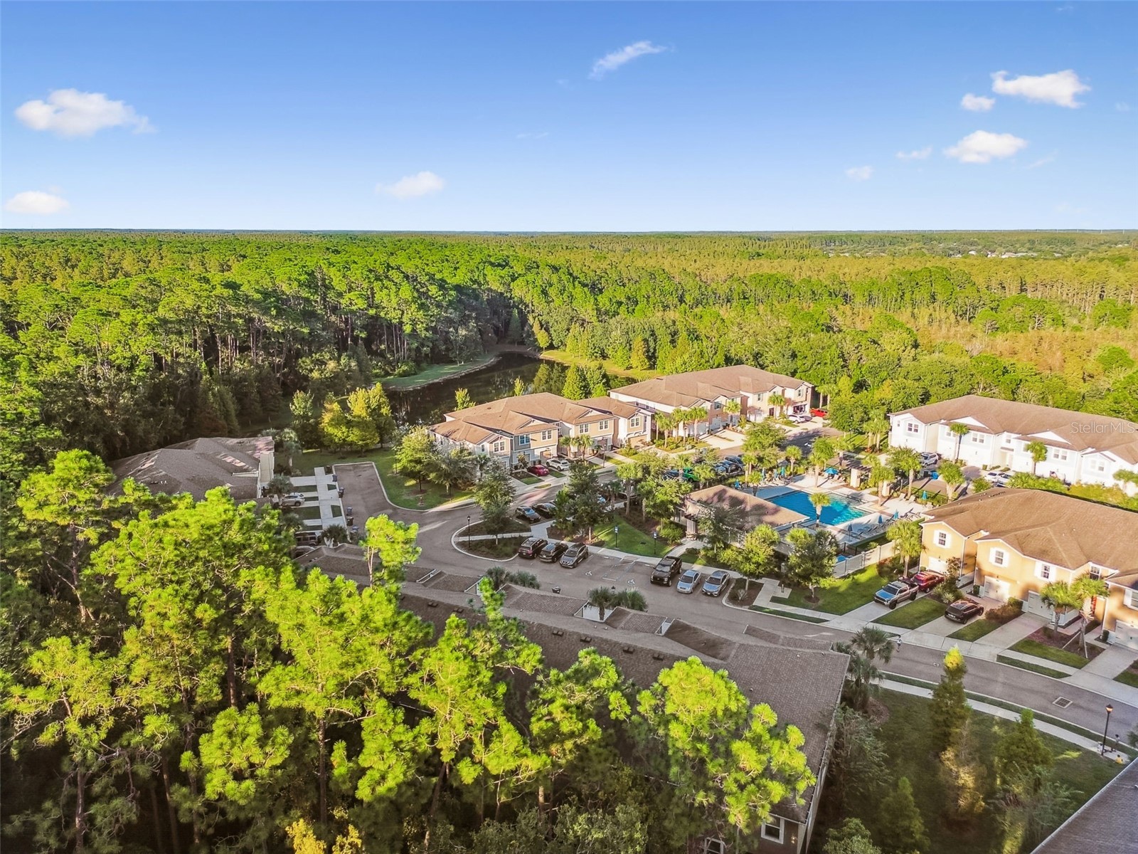 17856 Althea Blue Place Lutz FL 33558 TB8504054 image53