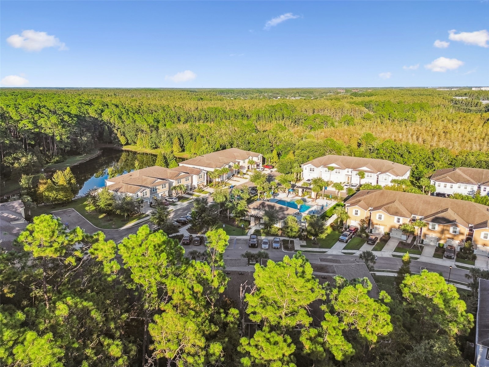 17856 Althea Blue Place Lutz FL 33558 TB8504054 image54