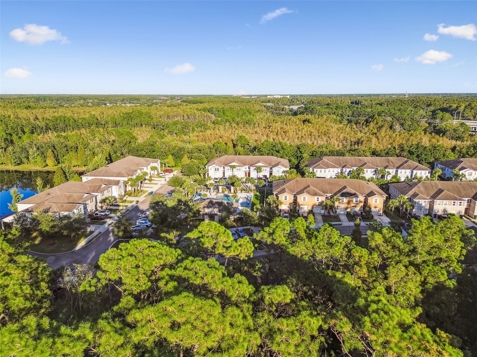 17856 Althea Blue Place Lutz FL 33558 TB8504054 image55