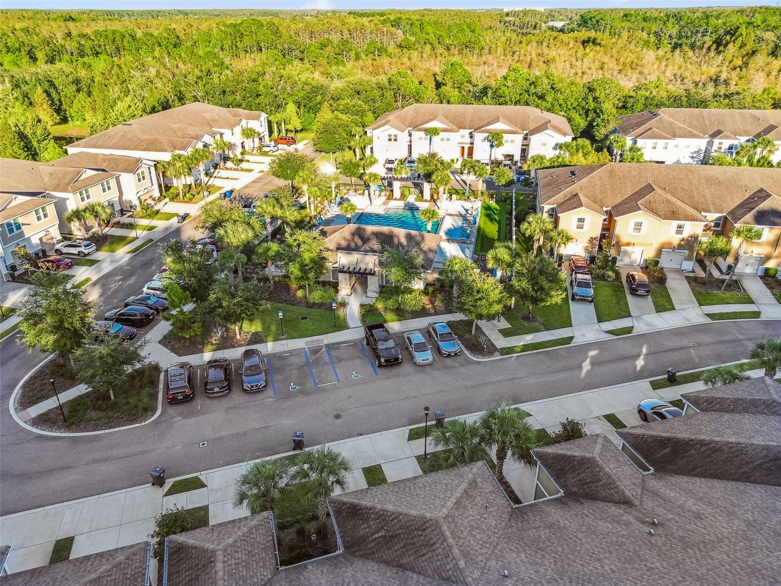 17856 Althea Blue Place Lutz FL 33558 TB8504054 image56