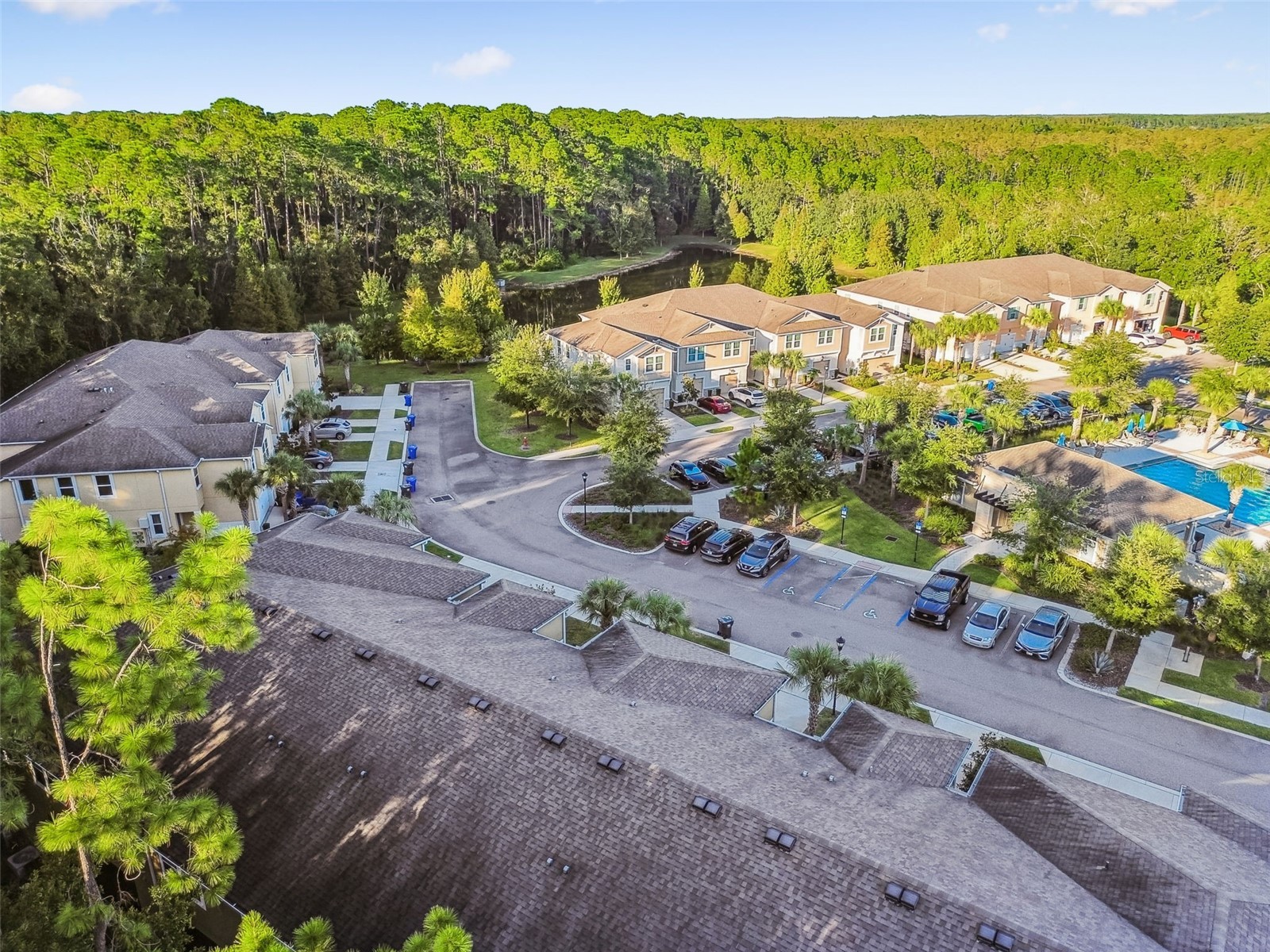 17856 Althea Blue Place Lutz FL 33558 TB8504054 image57