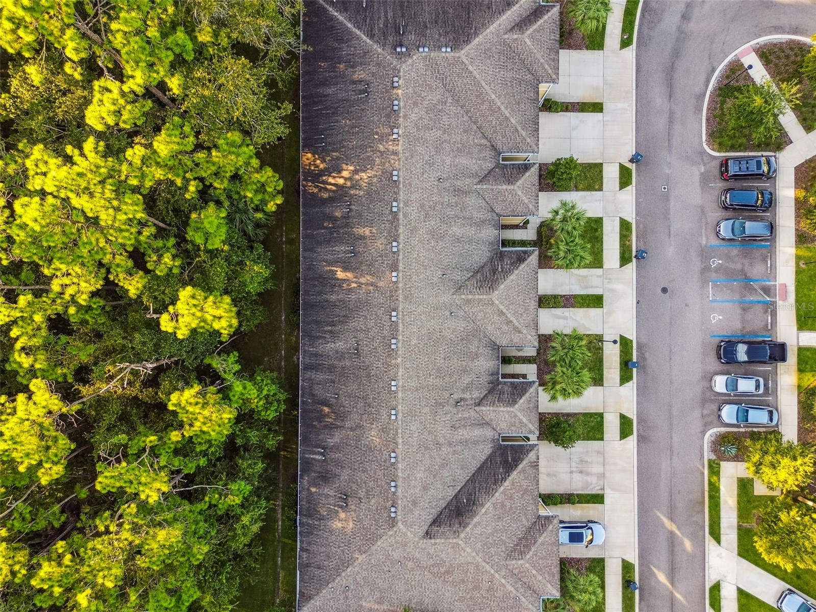 17856 Althea Blue Place Lutz FL 33558 TB8504054 image58