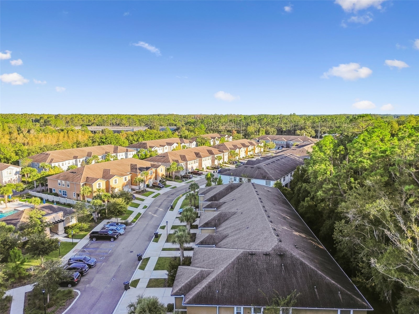 17856 Althea Blue Place Lutz FL 33558 TB8504054 image60