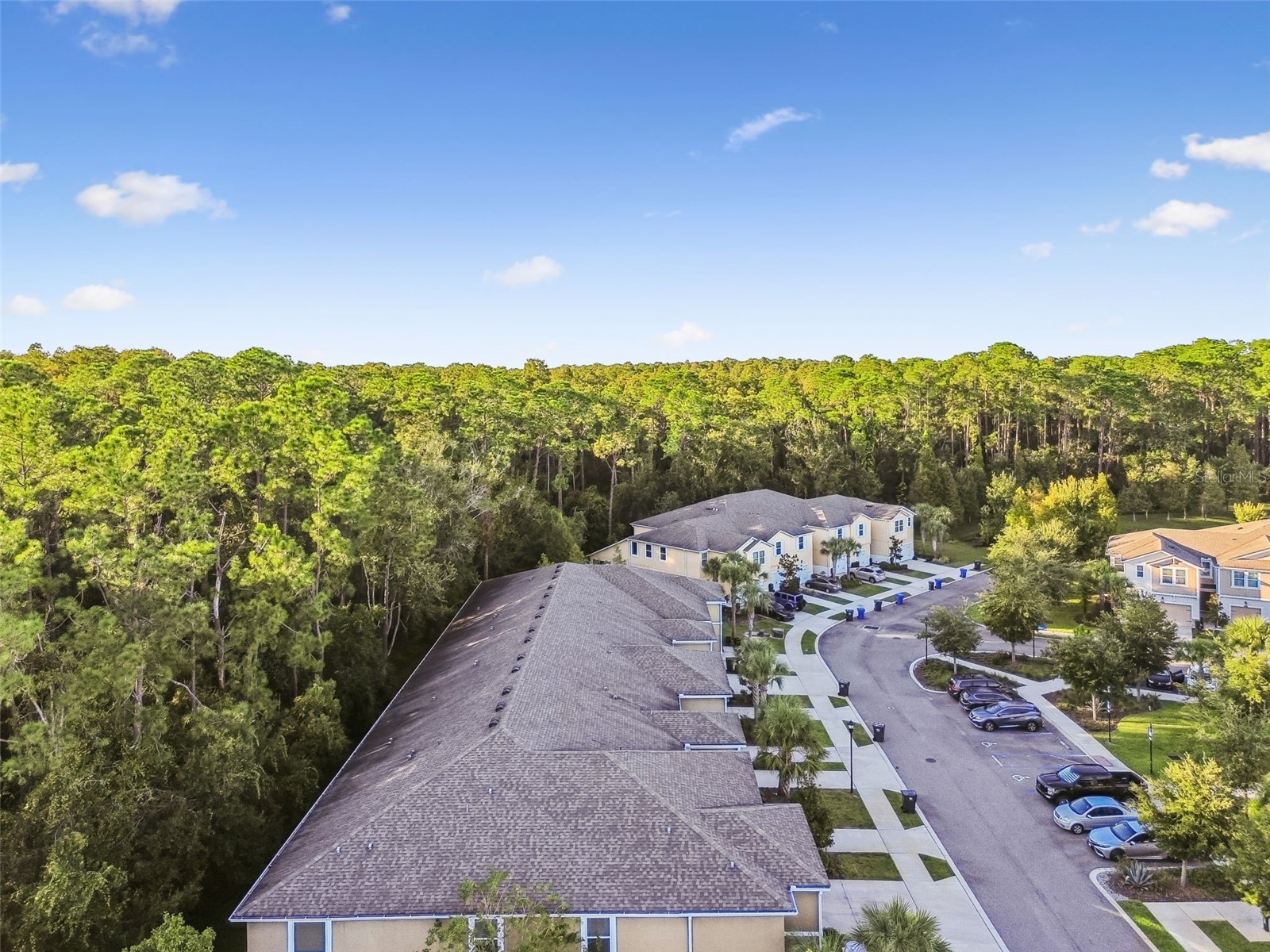 17856 Althea Blue Place Lutz FL 33558 TB8504054 image61