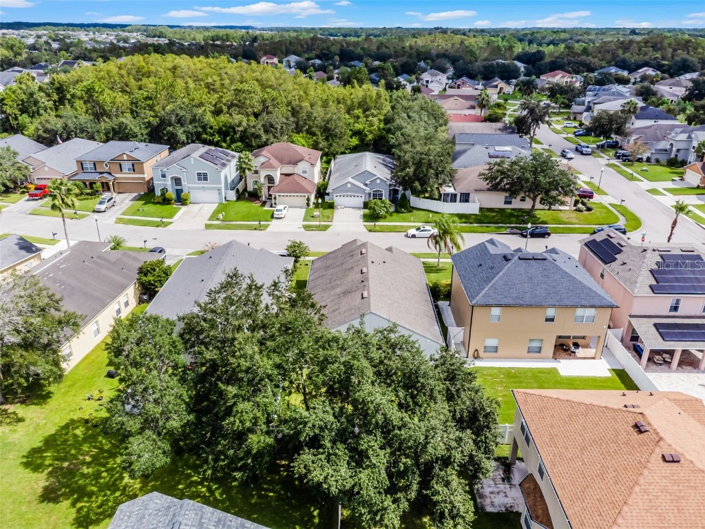 17856 Ibis Landing Way Orlando FL 32820 O6338419 image60