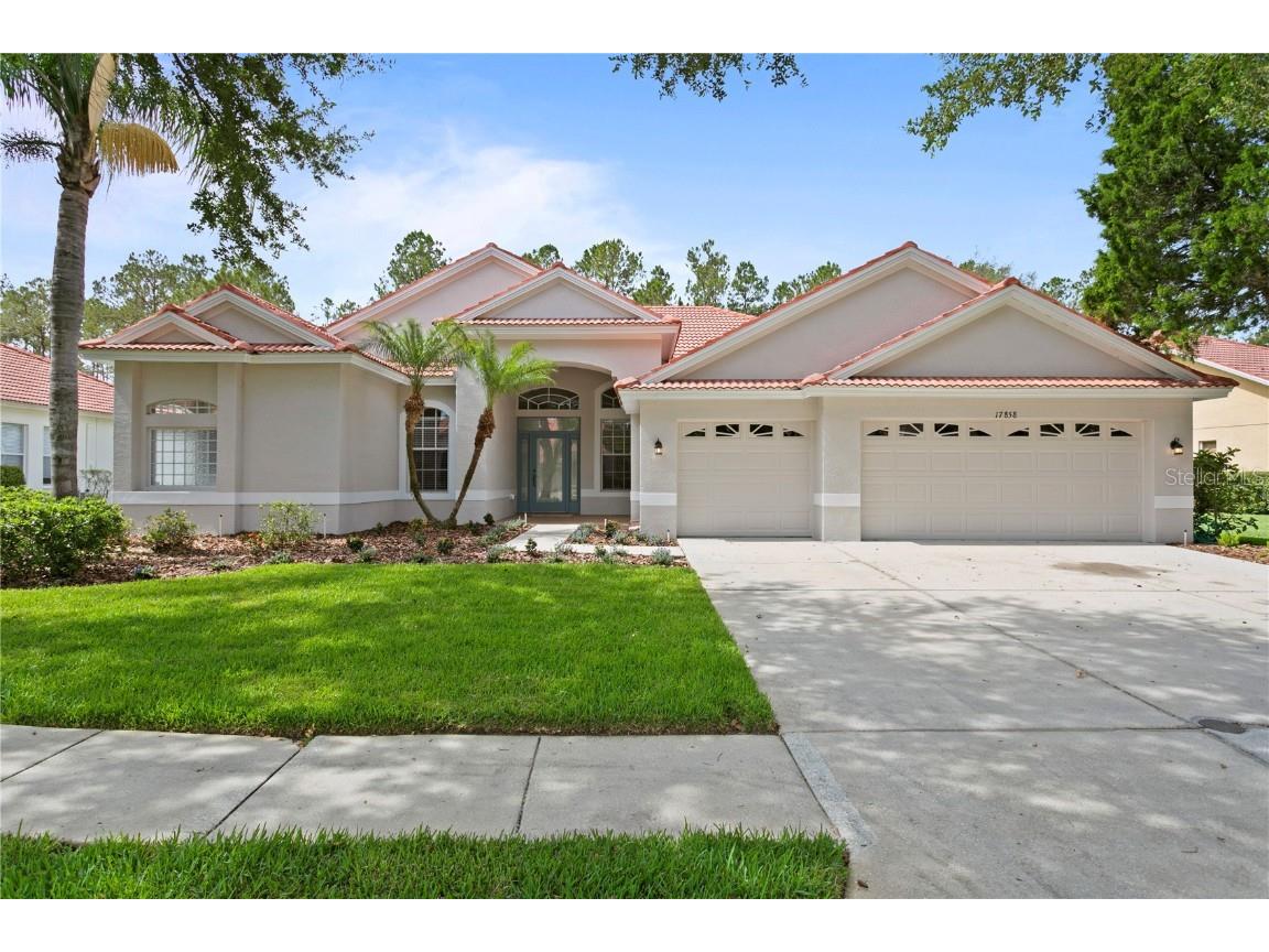17858 Arbor Greene Drive Tampa FL 33647 T3446264 image1
