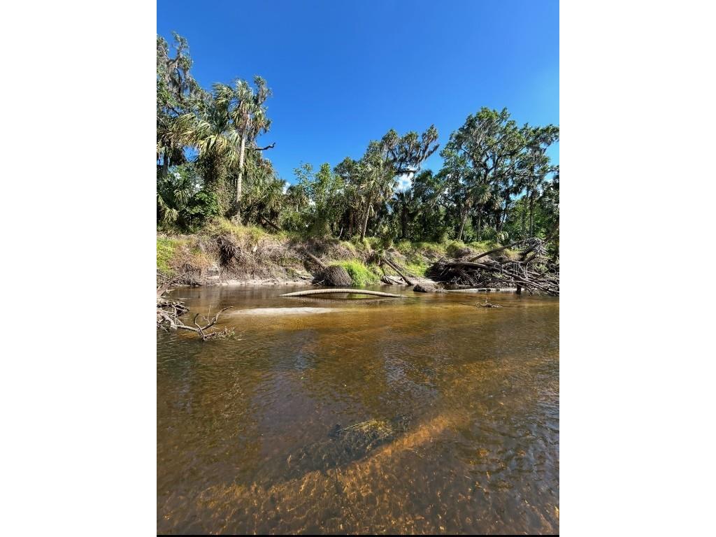 1786 Peace River Woods Wauchula FL 33873 - PEACE RIVER L4957505 image3