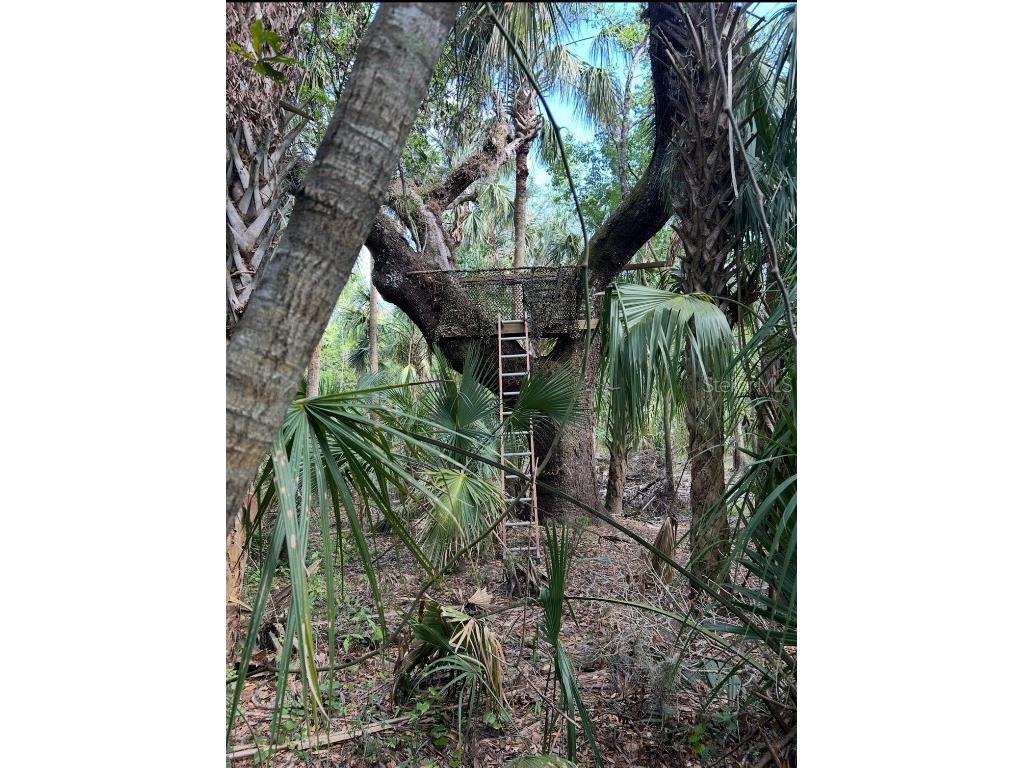 1786 Peace River Woods Wauchula FL 33873 - PEACE RIVER L4957505 image4