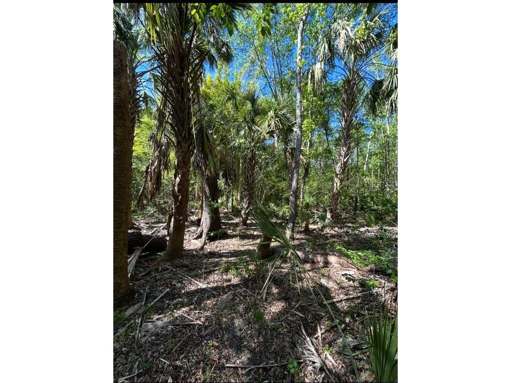 1786 Peace River Woods Wauchula FL 33873 - PEACE RIVER L4957505 image6