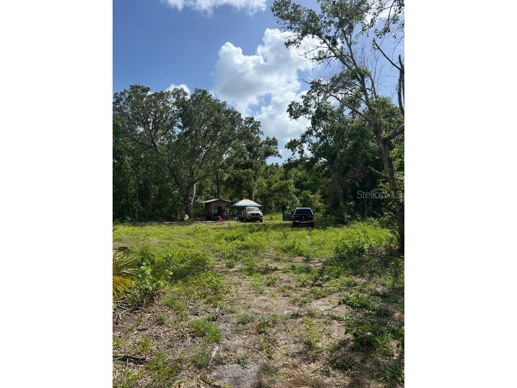 1786 Peace River Woods Wauchula FL 33873 - PEACE RIVER L4957505 image7