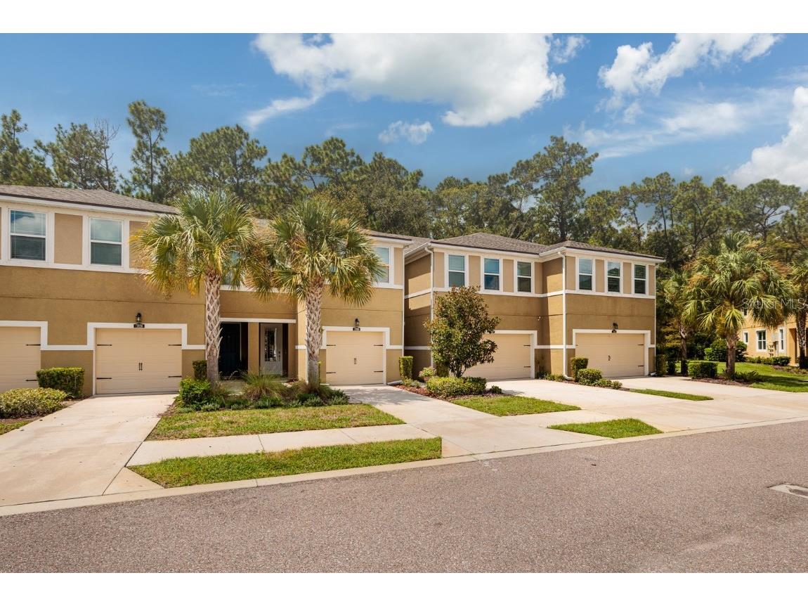 17860 Althea Blue Place Lutz FL 33558 U8255869 image1