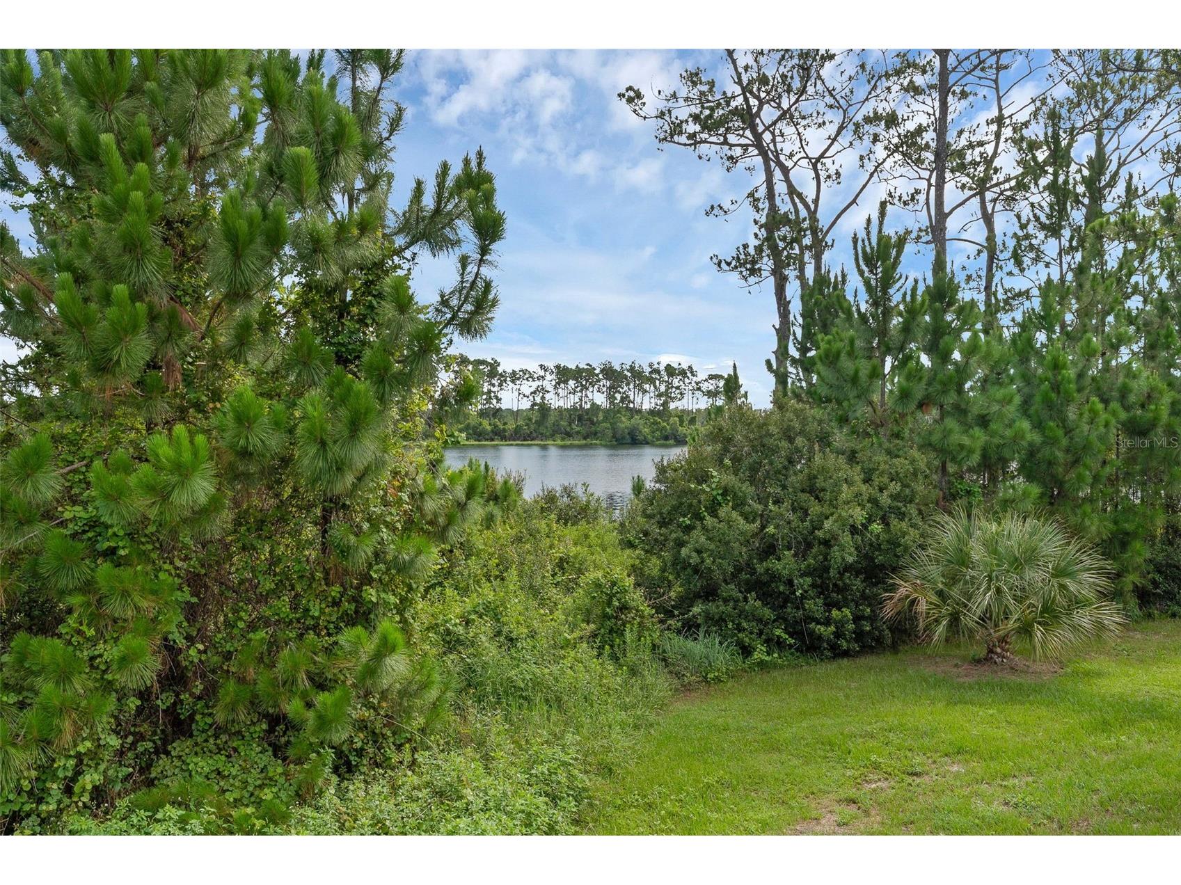 17860 Passionflower Circle Clermont FL 34714 O6396730 image34