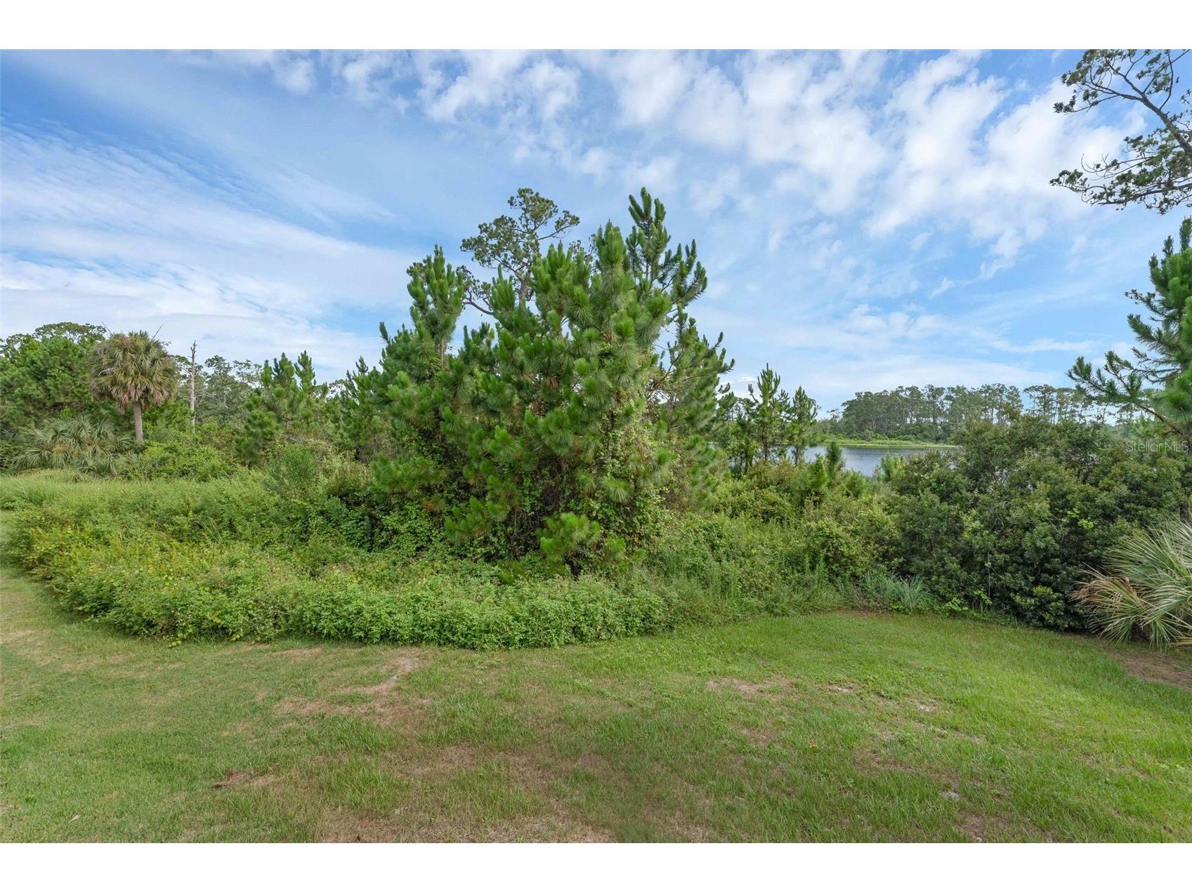 17860 Passionflower Circle Clermont FL 34714 O6396730 image40