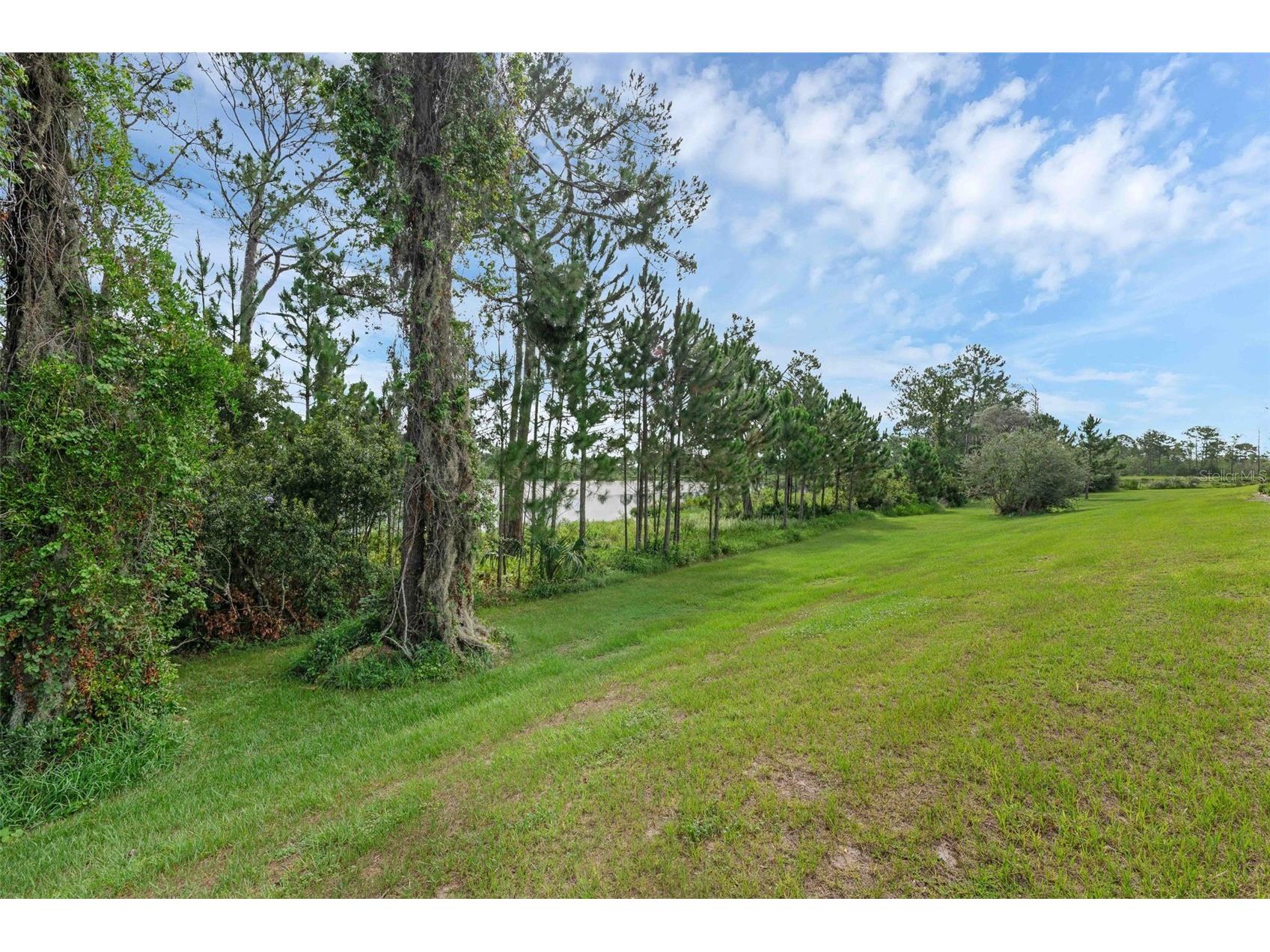 17860 Passionflower Circle Clermont FL 34714 O6396730 image41