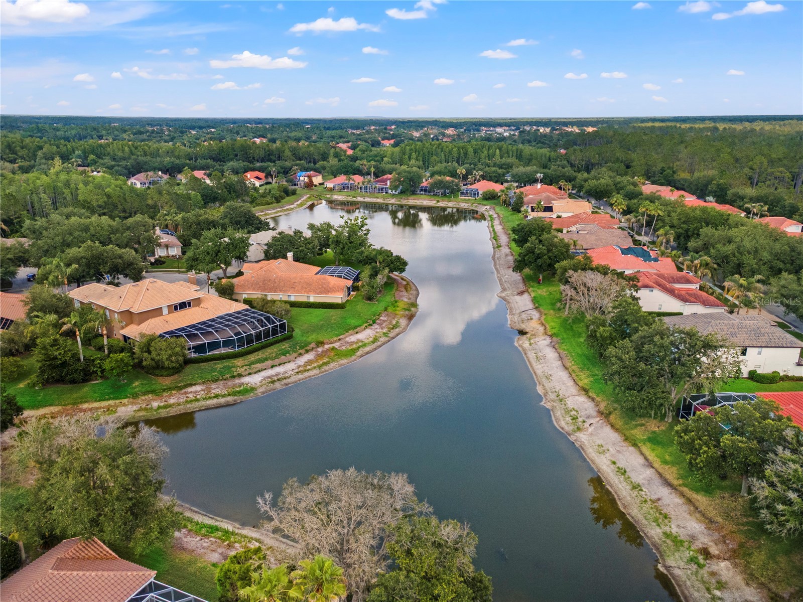 17861 Arbor Greene Drive Tampa FL 33647 TB8512311 image3