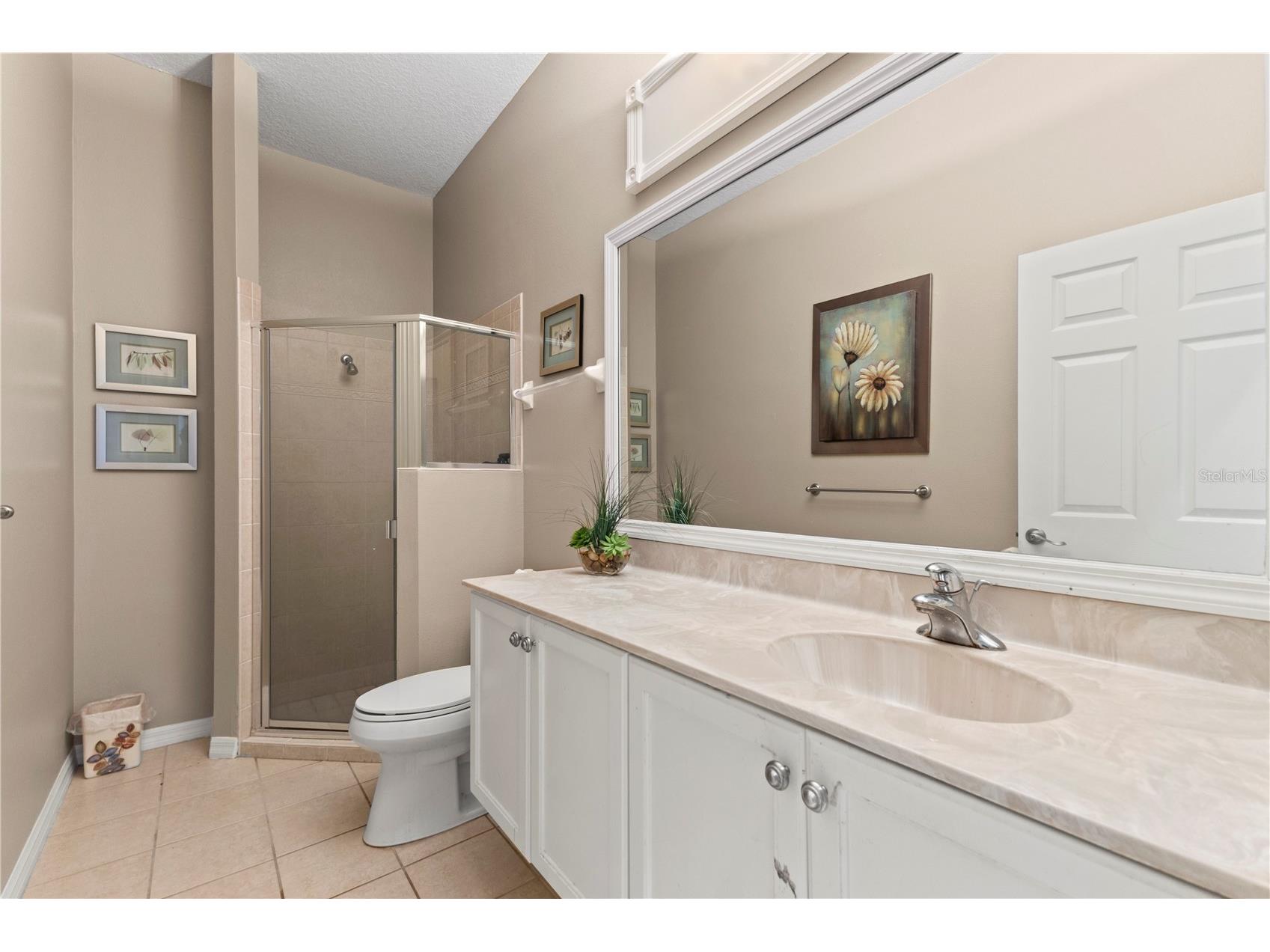 17861 Arbor Greene Drive Tampa FL 33647 TB8512311 image38