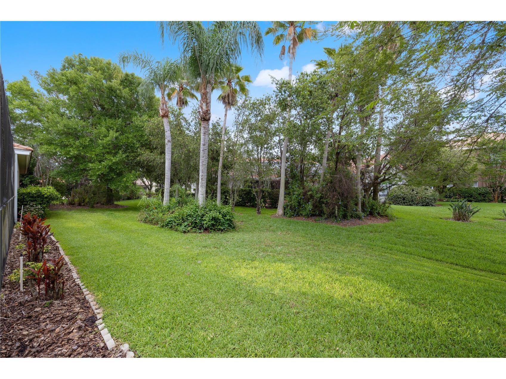 17861 Arbor Greene Drive Tampa FL 33647 TB8512311 image56